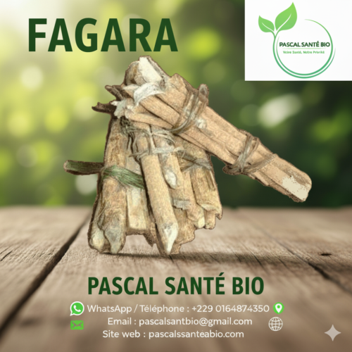 Les vertus de Fagara