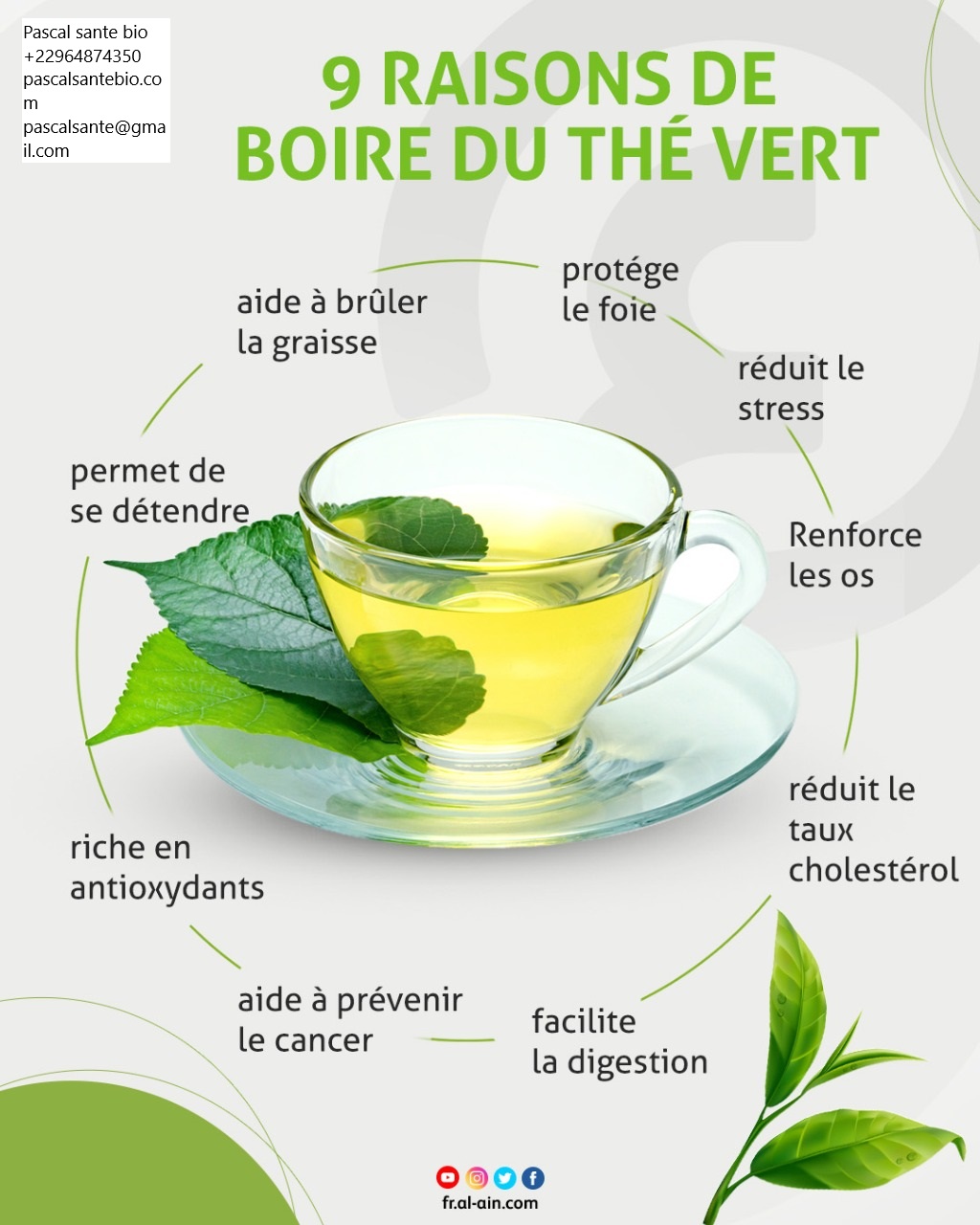 Bienfaits vertus thé vert