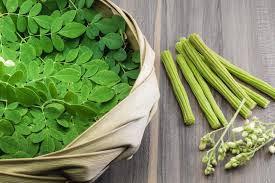 Moringa vertus et bienfait bienfaits