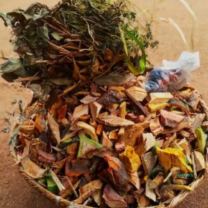 staphylocoque traitements naturel