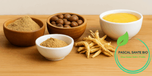 Traitement naturel Leucémie Anémie Solution Naturelle pour augmenter le sang