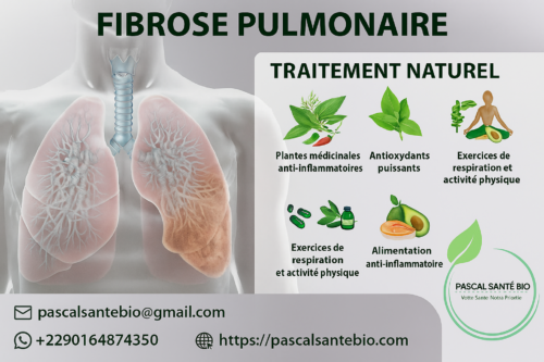 Fibrose pulmonaire traitement naturel