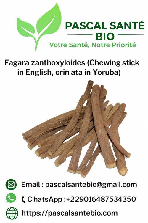 Guérir définitivement drépanocytose avec fagara