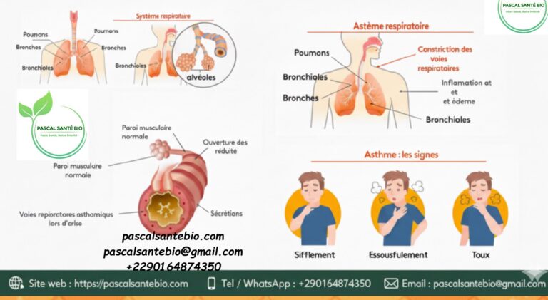 Remède efficace contre l'asthme