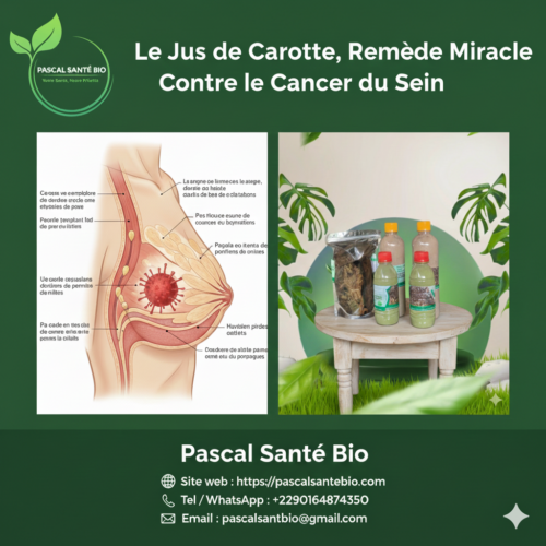 Plante contre le cancer du sein