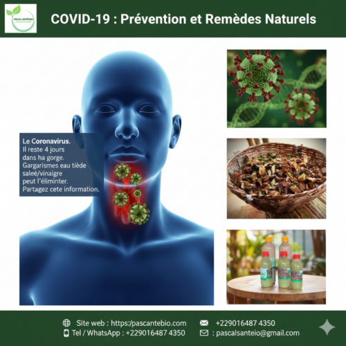 Guérir Covid-19 avec les plantes et astuce naturel