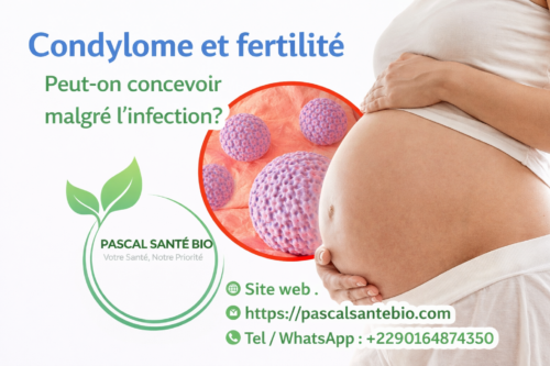 Traitement naturel papillomavirus