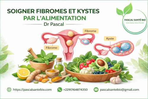 Tisane pour ovaires polykystiques