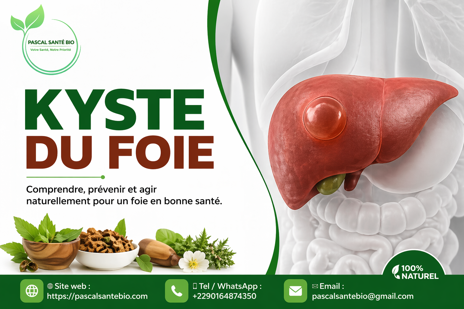 kyste hydatique foie remède naturel