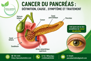 Solutions naturelles pour le pancréas