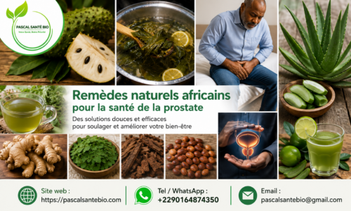 Astuce remède naturel africain prostate